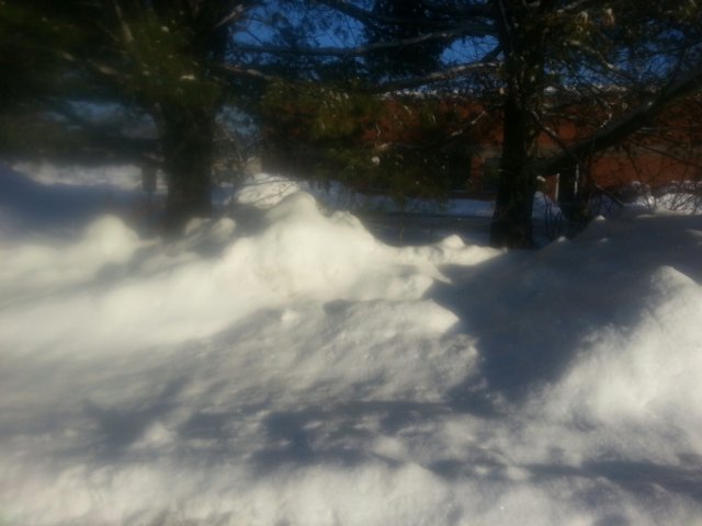 20140220_073644.jpg image